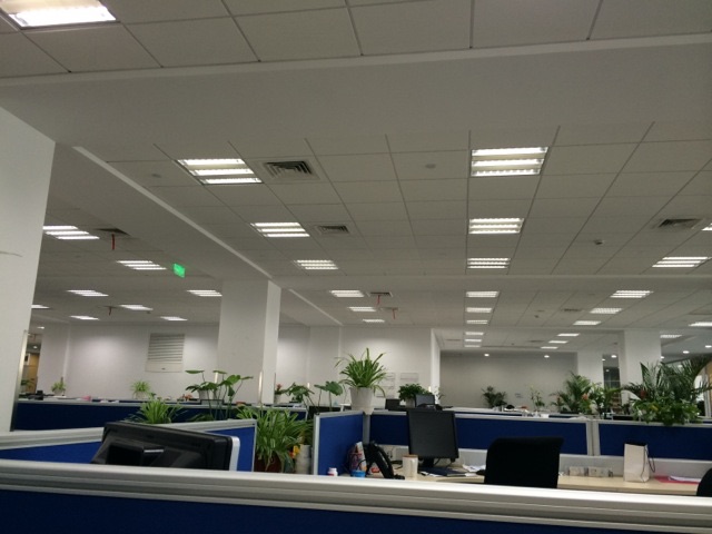 在陆家嘴办公的公司,在陆家嘴工作的精英