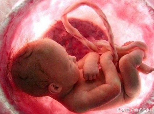 孕期“绝不能少”四次彩超检查你知道吗？让超声科大夫告诉你……