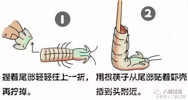 比手臂还粗的皮皮虾你吃过了吗,比手臂还大的皮皮虾吃起来超过瘾