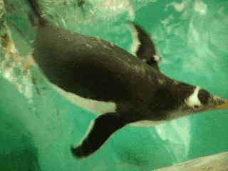 五一去广州长隆旅游攻略,五一珠海长隆旅游攻略