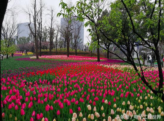 荣耀v9两个月体验测评,荣耀v9怎么变得流畅