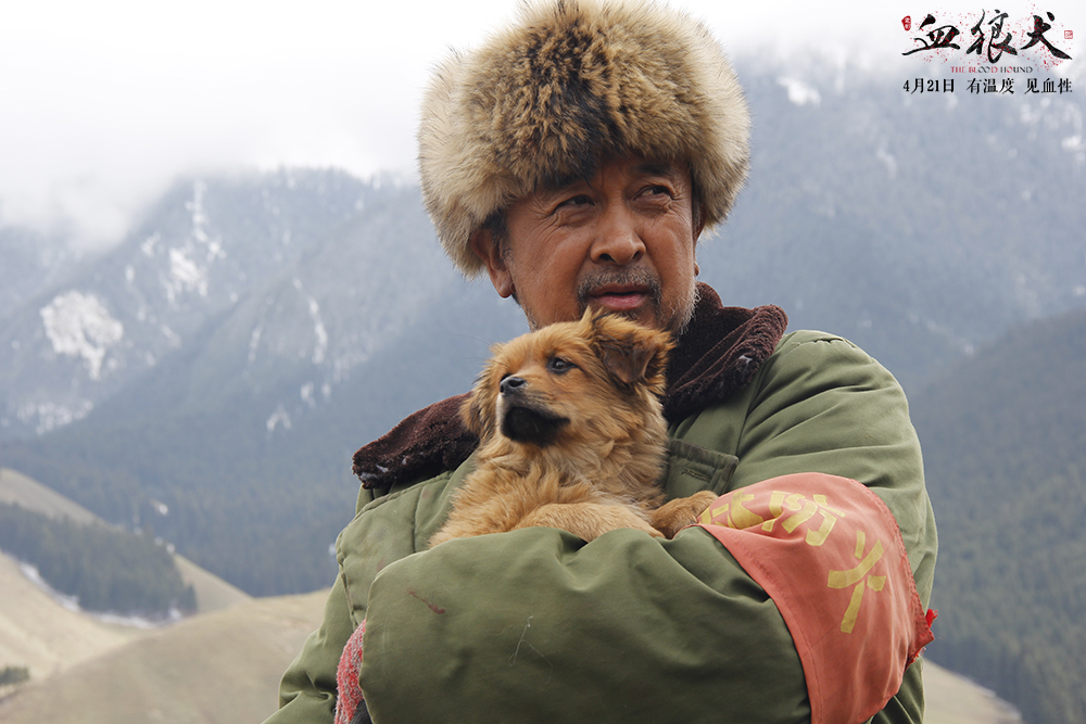 血狼犬电影口碑排行榜,投资血狼犬的电影为什么血本无归