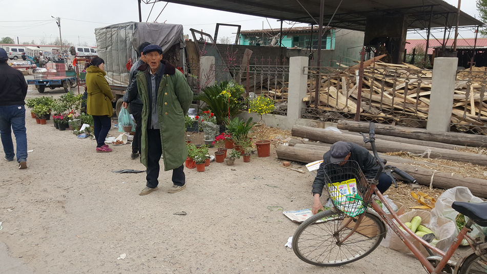 唐山市乐亭县大集,河北唐山乐亭大集