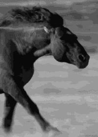 细软发质如何护理头发,又细又软的头发怎么护理