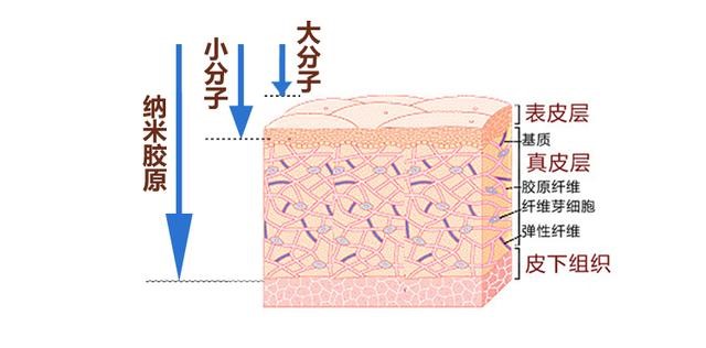 超声刀做完没效果怎么回事,超声没事还需要检查甲状腺功能吗