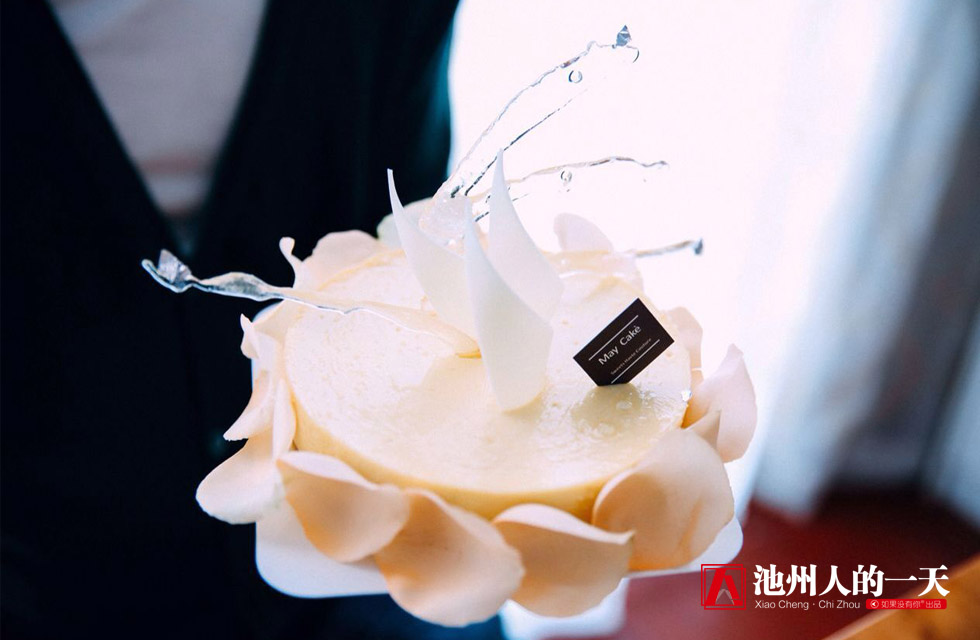 9.9很火的提拉米苏蛋糕,苏州最好吃的提拉米苏蛋糕