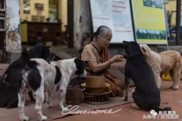 琅勃拉邦，菩提树下万人欢愉