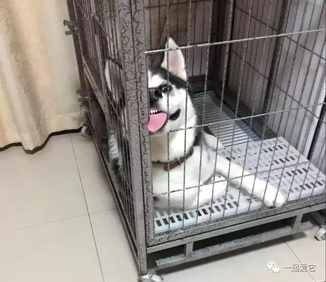 宠爱每一个故事,宠爱故事梗概