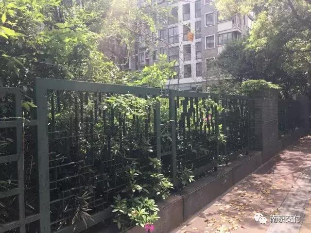 房龄差“三岁“，为了莫愁湖”新项目“却比老项目显老？