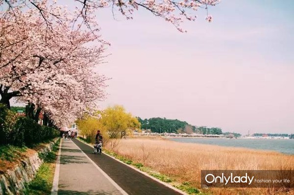 韩国免税店旅行攻略超详细篇,韩国免税店护肤品购物攻略