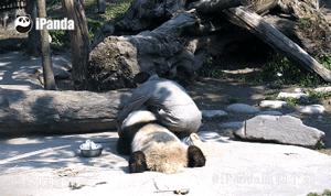 体验一下坐长途客车的感受,坐大巴车长途什么感觉