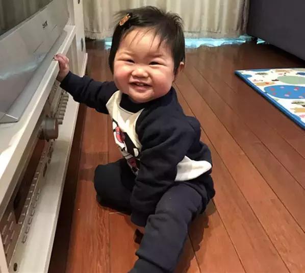 日本vape驱蚊器对猫有害吗,日本未来vape驱蚊器有用嘛