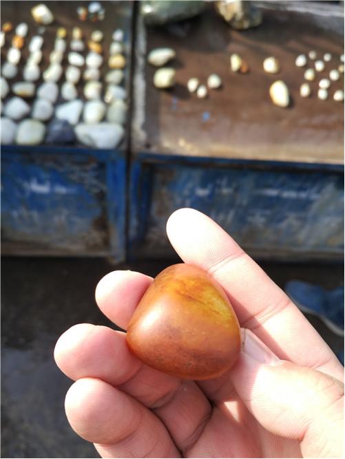 和田玉游记l看过纯羊毛鞋垫吗？喜洋洋美羊羊都有