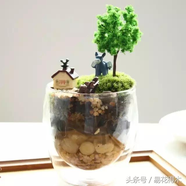 陶瓷花盆适合种什么花,仿瓷的花盆养花好吗