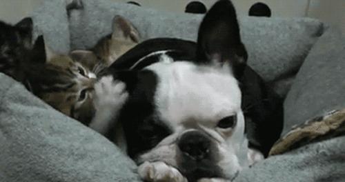 粤语金句成语,形容广东话的成语