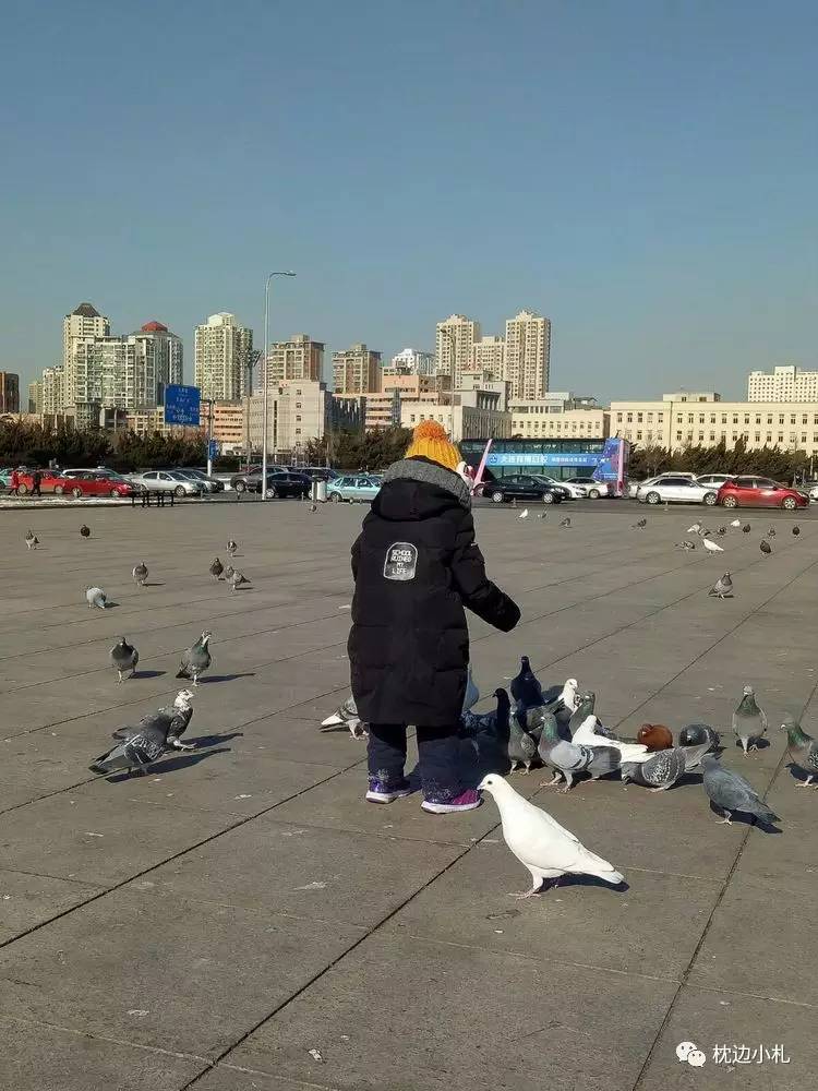 冬天大连看海旅游攻略,冬季到大连去看海