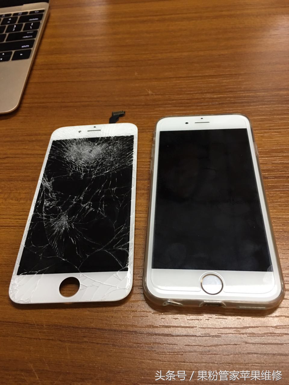 大连果粉管家,果粉管家清灰