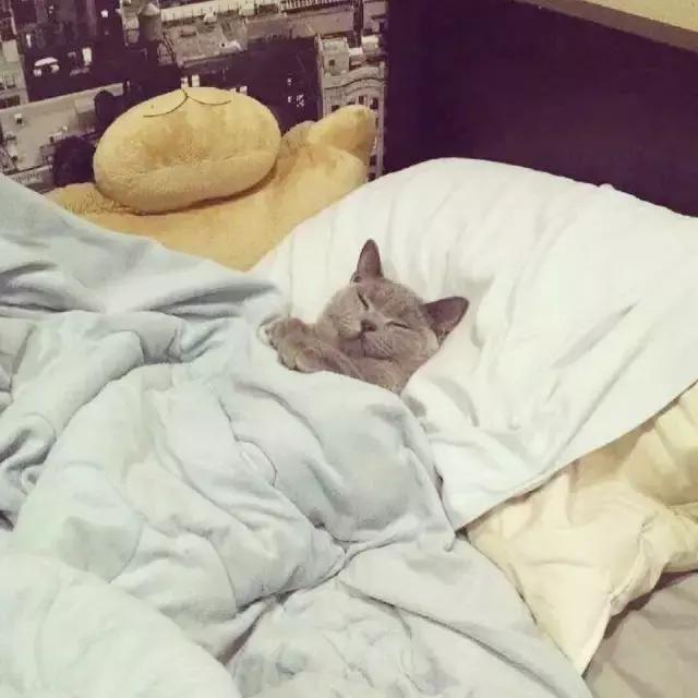 爱彼迎评价回复,爱彼迎最近怎么样了