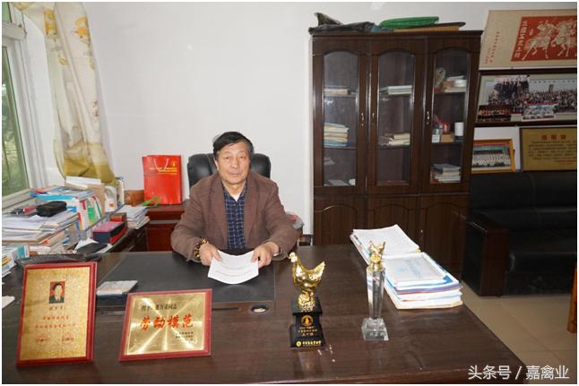 养鸡卖笨鸡蛋利润,从养鸡场批发鸡蛋搞零售能赚钱吗