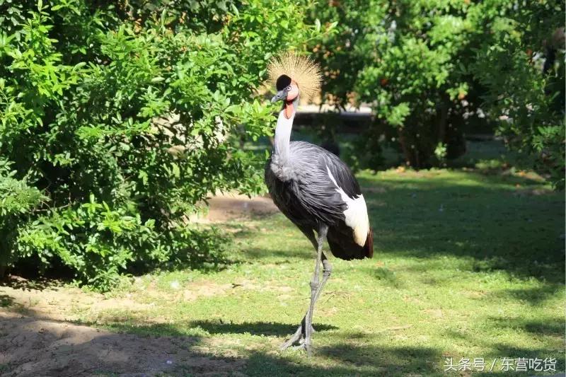 东营五一假期好去处,五一东营去哪里玩比较好