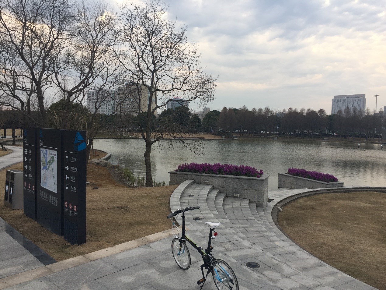 住金山区的感受,在金山居住的体验