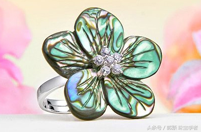 鲍鱼除了吃还代表什么,鲍鱼除了是食物还是什么东西