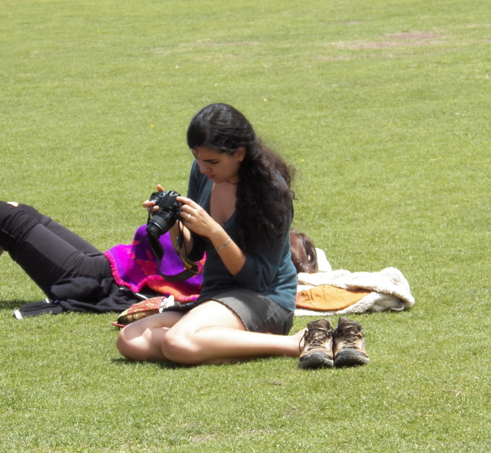 *藏西**美丽的草原上它原先被炒到上千万，现在5千也没人要