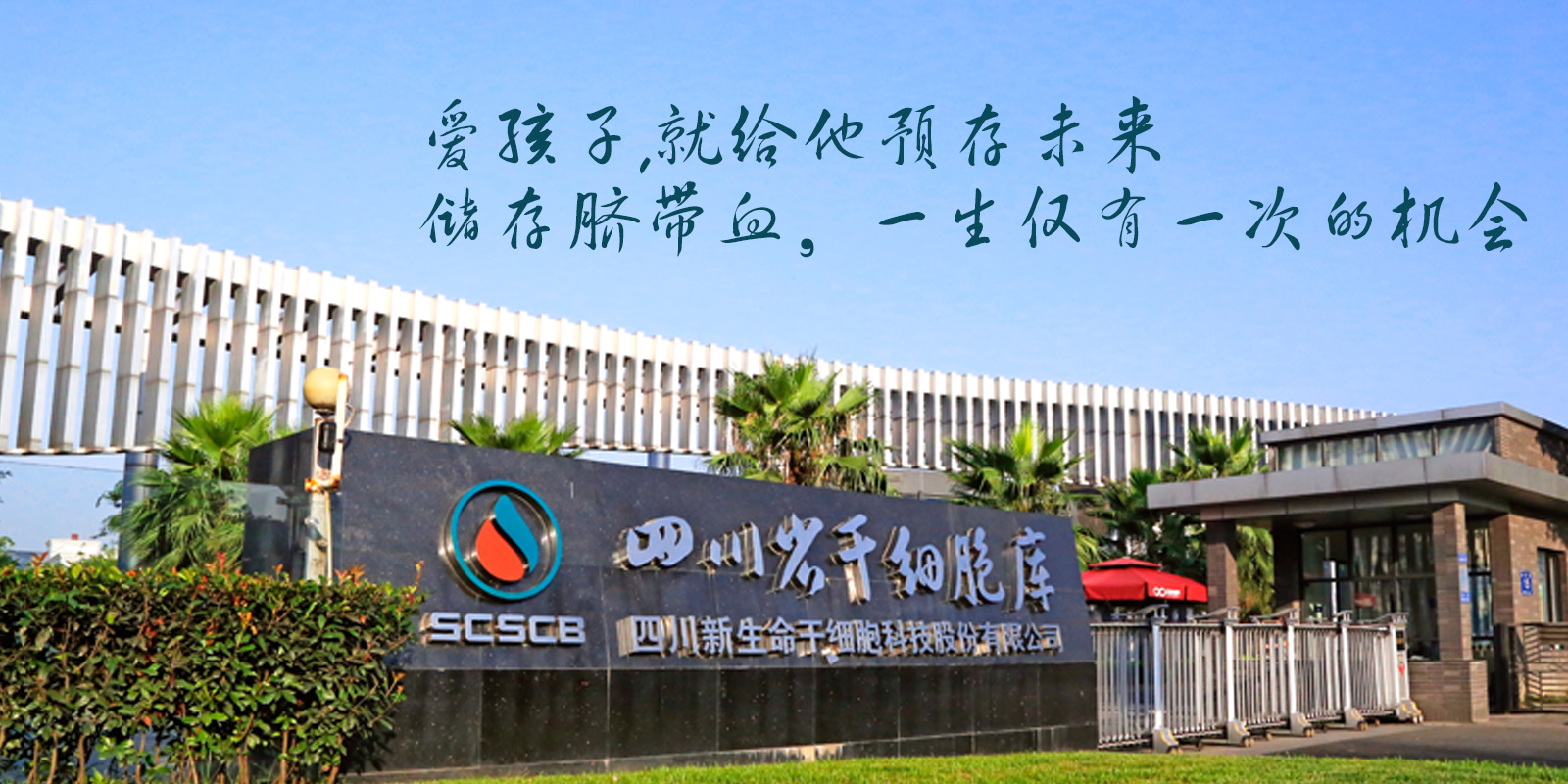 间充质干细胞治疗类风湿关节炎,干细胞干预类风湿性关节炎