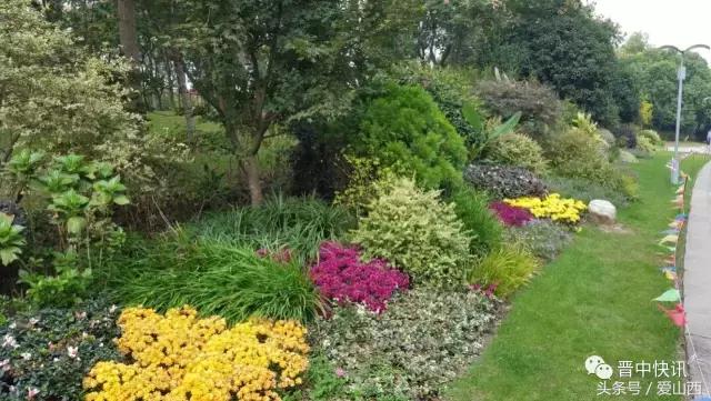 晋景：对不起，我要去榆次了，别再找我了！