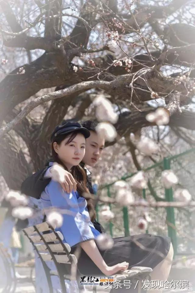 春天哈尔滨好玩的地方,哈尔滨春天景色