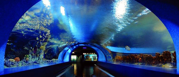 日本大阪八大经典逛吃地推荐附五年多次旅游签证办理详解