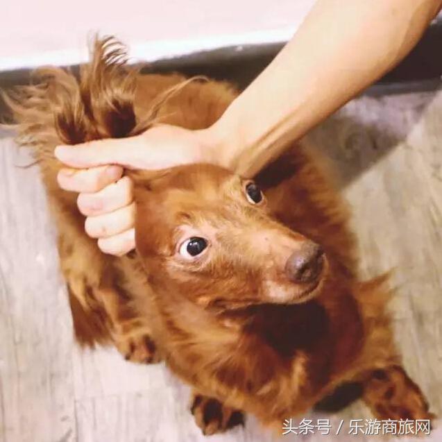 香港旅行攻略自由行购物,香港旅行攻略必去的地方推荐