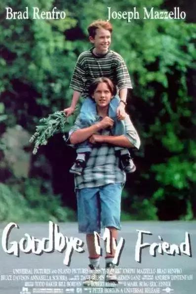 颜值演技双在线值得反复观看,颜值演技在线的“双男主剧”