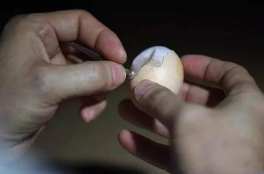 豆腐也能穿刺、葡萄还能缝针？这些外科医生为啥要拿食物练绝技？