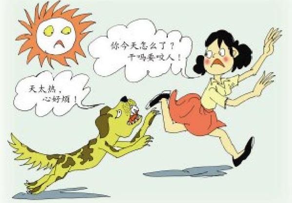 怀孕的母猫有狂犬病吗,怀孕狂犬病发作