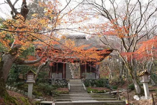 京都雾霾在哪里,冬天去京都合适吗