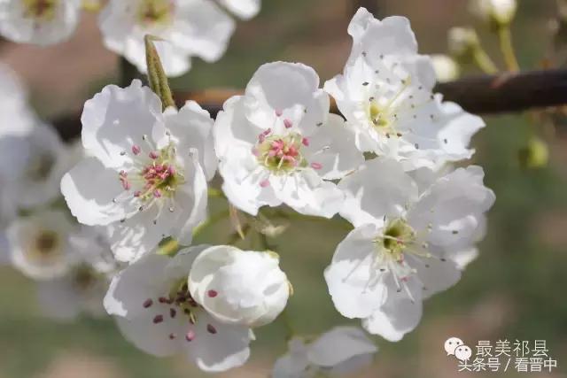 祁县三个村,祁县所有村名单