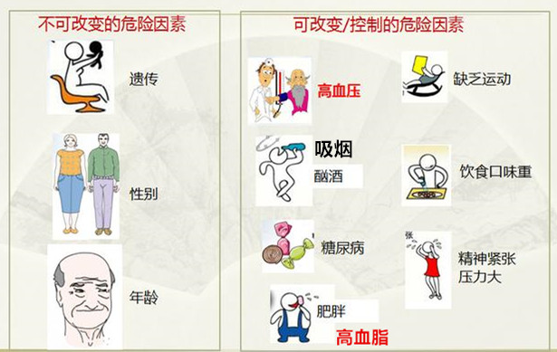 左侧股总动脉粥样斑块形成,吸烟造成动脉粥样斑块形成