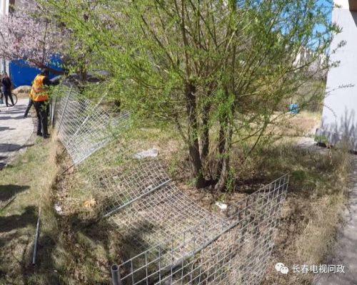 长春小区围墙被推倒,长春绿地违建拆除名单