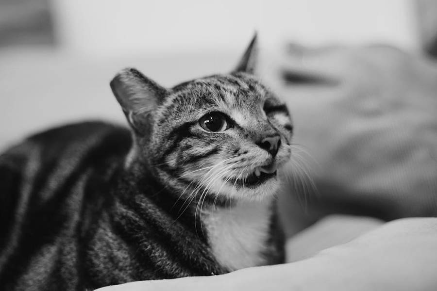 在喧闹的城市中寻一份静谧书店,独立书店的精神居所