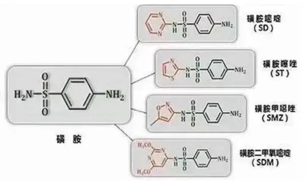磺胺类药物过敏的患者慎用哪些,磺胺类过敏不能用什么