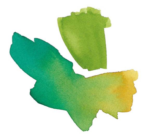 水彩画入门基础知识大全,水彩画水墨画有什么区别基础知识