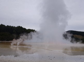 致敬·新西兰OnceisforAll