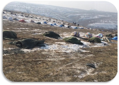 多项第一！中电国际大同“超级”领跑者项目诞生记