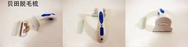 宠物去毛梳测评,猫毛梳测评真实