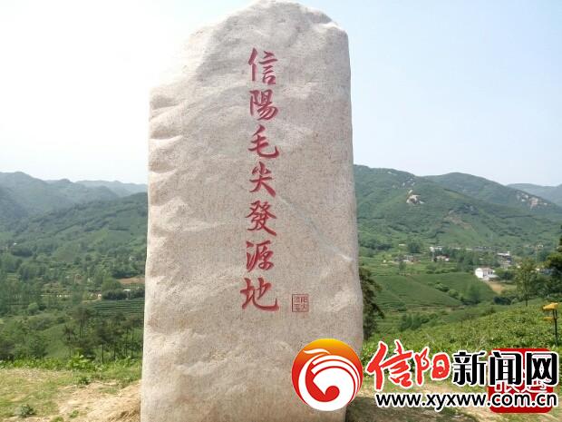 了解信阳毛尖的发展历史,信阳毛尖发展史