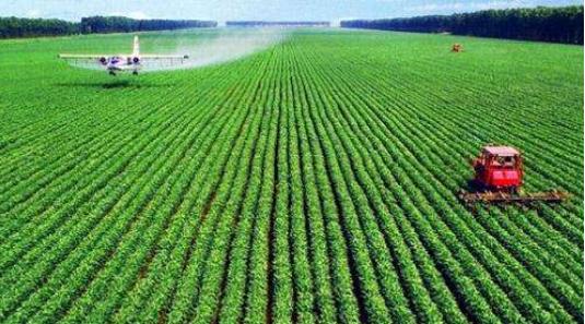 关于加快中药材产业化发展意见,中药材种植前景分析