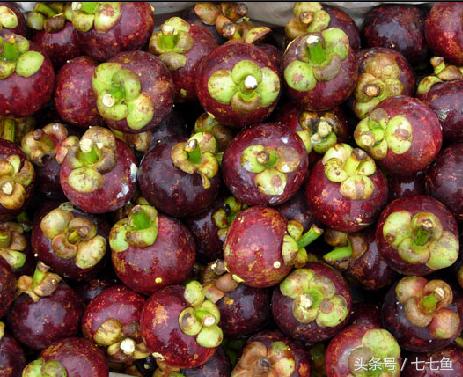 果中皇后,果中皇后是什么水果