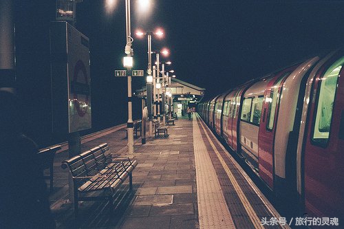 放下一切去旅行,放下一切去旅行完整版