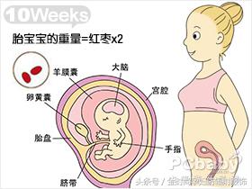 防辐射服孕妇装正品夏季穿,孕期穿防辐射服怎么搭配